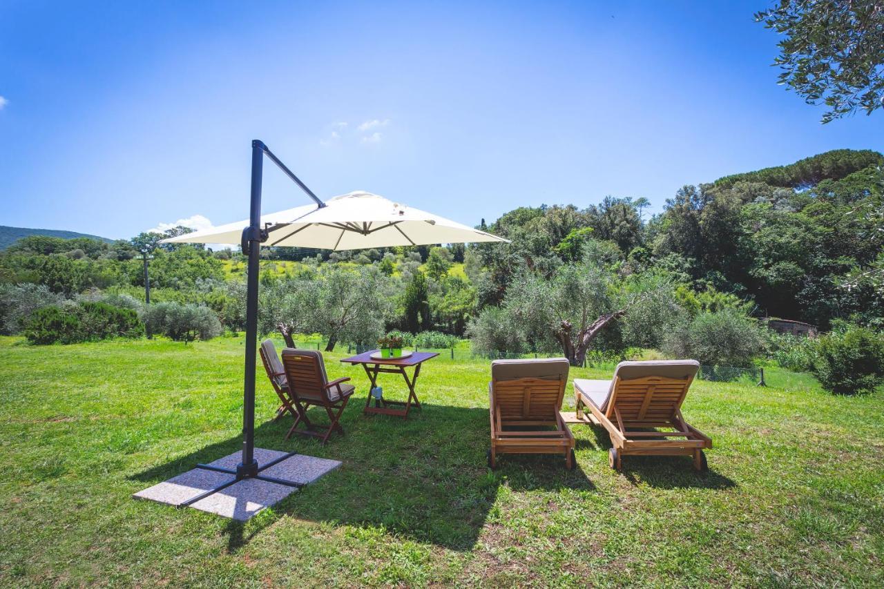Gatto Rosso Bed and Breakfast Bolgheri Εξωτερικό φωτογραφία