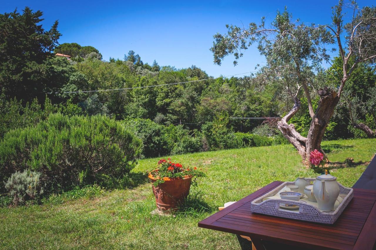 Gatto Rosso Bed and Breakfast Bolgheri Εξωτερικό φωτογραφία