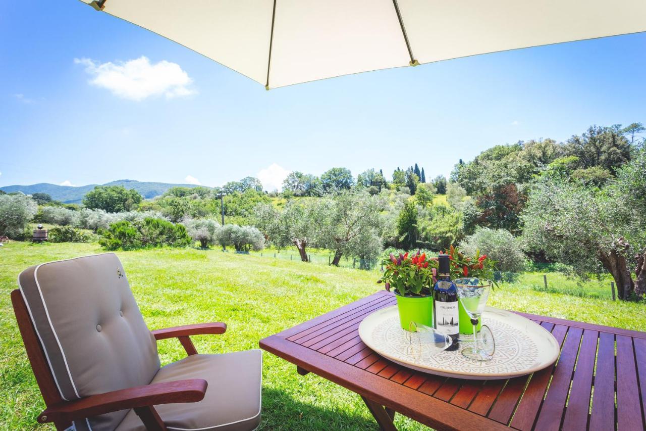 Gatto Rosso Bed and Breakfast Bolgheri Εξωτερικό φωτογραφία