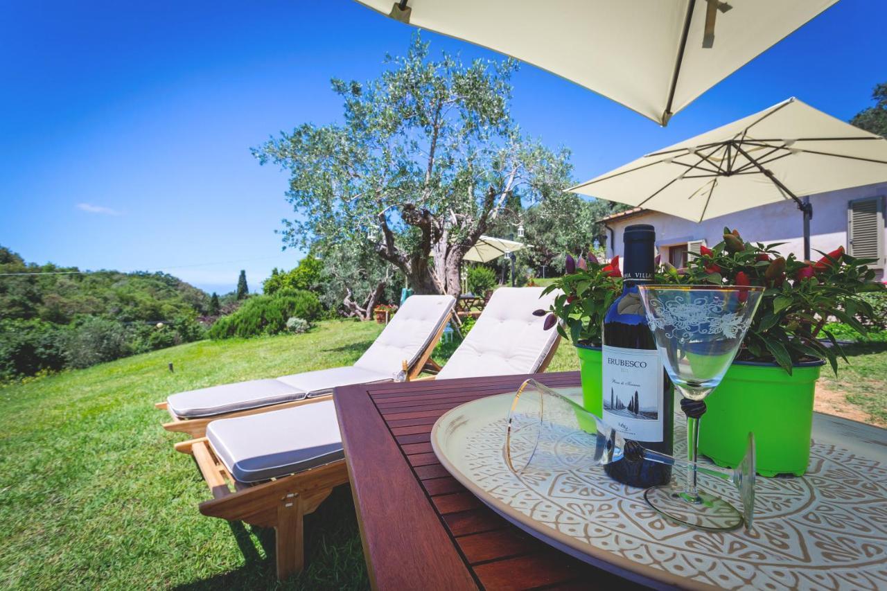 Gatto Rosso Bed and Breakfast Bolgheri Εξωτερικό φωτογραφία